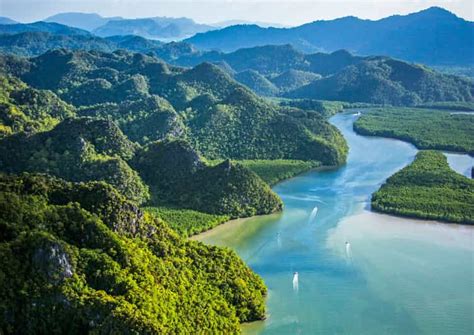 Langkawi: Mangrove Kilim UNESCO Geopark & Cave Tour | GetYourGuide