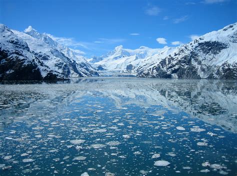 Gorgeous Glacier Bay National Park & Preserve: Birthplace of Icebergs & Wildlife