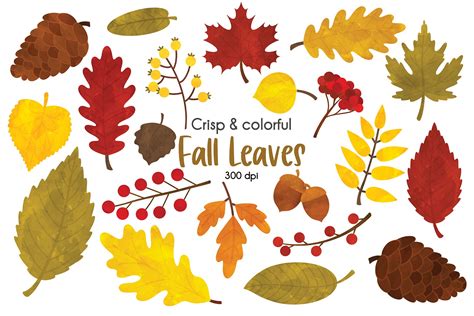 Fall Leaves Clipart – MasterBundles