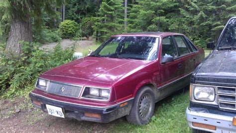 1986 Dodge Lancer - Information and photos - MOMENTcar