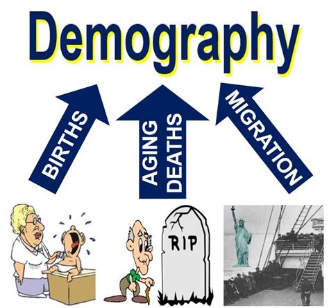 Demography: Process, Elements, Importance, Tools and Application ...