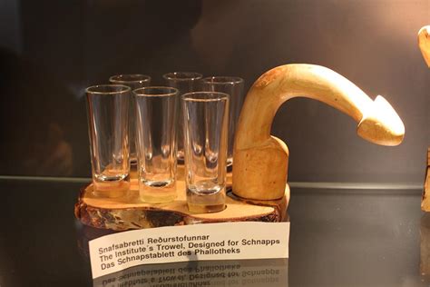 The Icelandic Phallological Museum - THE ICELAND MUSEUM GUIDE