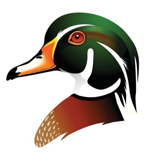 2,900+ Duck Head Stock Illustrations, Royalty-Free Vector Graphics ...