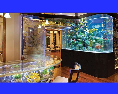 custom fish tanks for sale