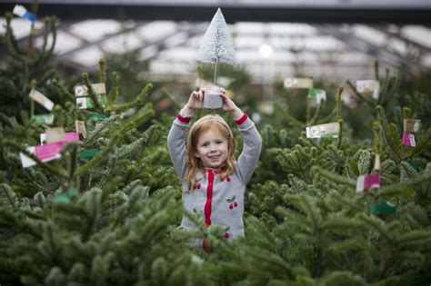 Dobbies reports 21% uplift over Christmas