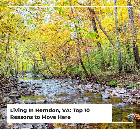 Living In Herndon, VA: Top 10 Reasons to Move Here