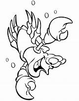 Little Mermaid & Sebastian Coloring Pages  Nation sketch template