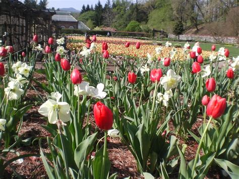 BILTMORE HOUSE & GARDENS FESTIVAL OF FLOWERS Tour - Sunshine Tours