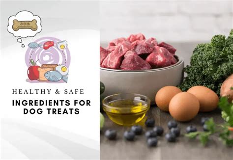 33 Healthy & Safe Ingredients for Dog Treats (Guide)