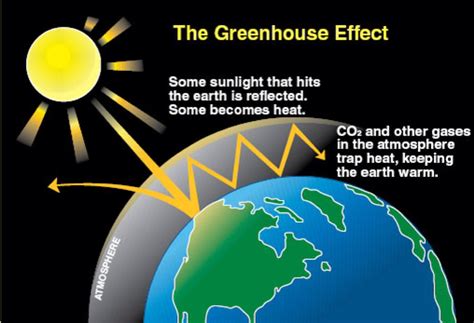 What is the difference between the greenhouse effect and global warming ...