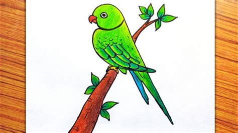 Discover 150+ parrot drawing for kids easy super hot - seven.edu.vn