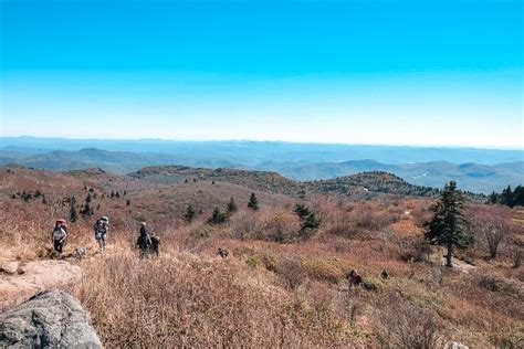 Black Balsam Knob Hike [Trail Guide]