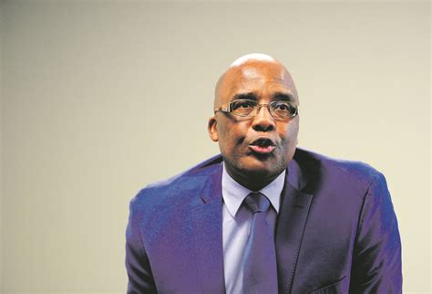 Motsoaledi's decision on Zimbabwean Exemption Permit does not take rights away, court hears | News24