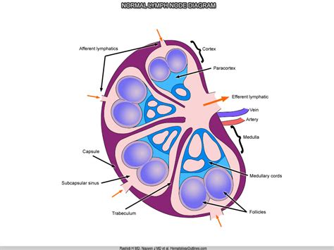 HematologyOutlines - Atlas