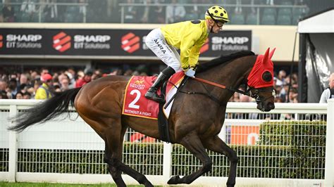 Caulfield Cup 2024: When is it, how to watch, prize money, tickets, betting odds, final field ...