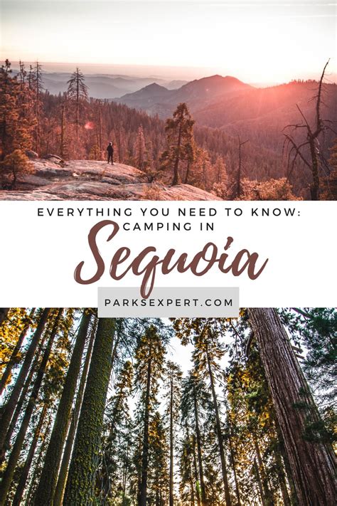 Sequoia National Park Camping: The Best Guide to All 7 Campgrounds