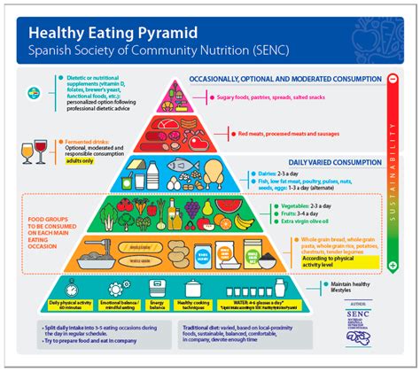 Comprehensive Definition Of Nutrition In Health And Physical Activities ...