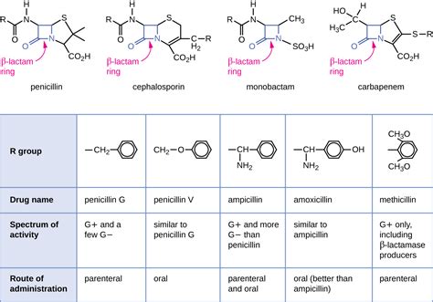 3.6 Cephalosporins – Nursing Pharmacology