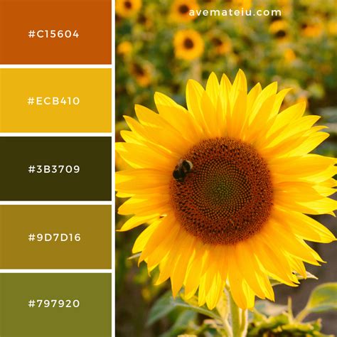 Yellow Sunflower Color Palette #23 - Ave Mateiu