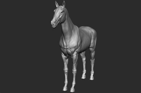 ArtStation - Realistic Horse - Sculpt | Resources