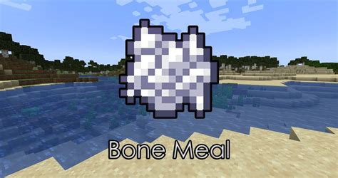 Your Complete Guide to Bone Meal in Minecraft