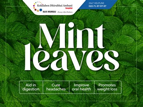 Health benefits of mint leaves