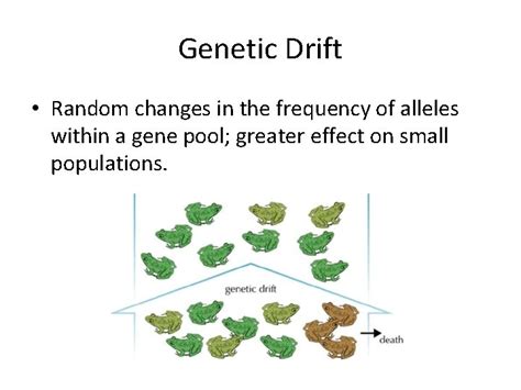 EVOLUTION Evolution Change in the gene pool of