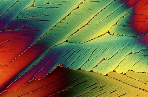 Citric Acid Crystals Photograph by Marek Mis - Fine Art America