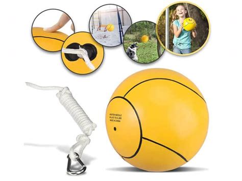 Tetherball for Dogs: Turn Your Backyard into a Playground