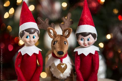 12 Fun facts about Elf on the Shelf you never knew before