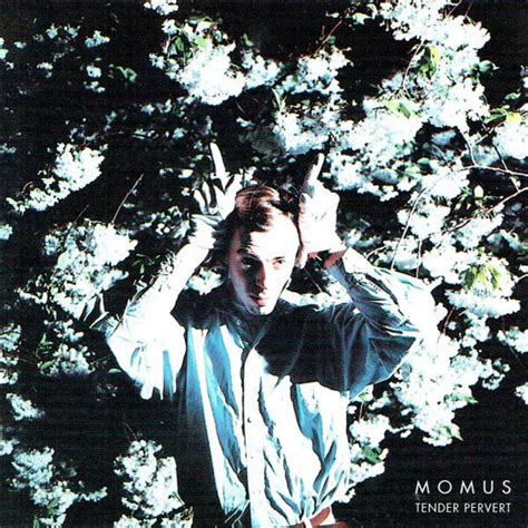 The Portable-Infinite: Momus INTERVIEW