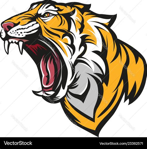 Angry tiger Royalty Free Vector Image - VectorStock