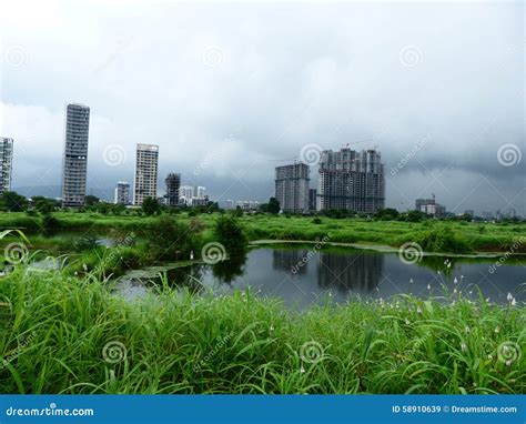 Navi Mumbai Skyline stock image. Image of insects, season - 58910639