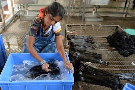 Tirupati Temple | Story behind hair donation in Indian temple including ...