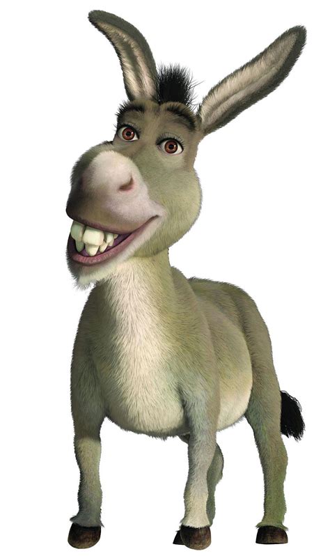 Donkey (species) - WikiShrek - The wiki all about Shrek