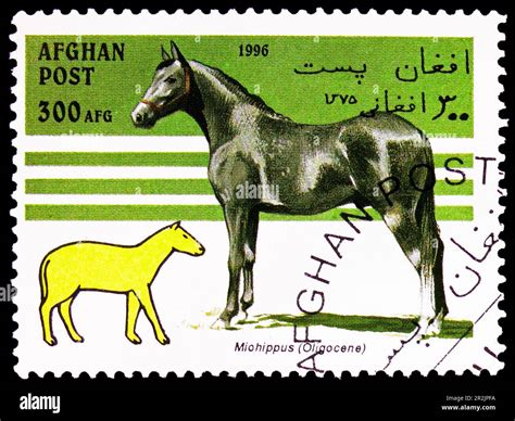 MOSCOW, RUSSIA - MAY 18, 2023: Postage stamp printed in Afghanistan shows Horse (Equus ferus ...