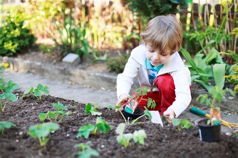 What is a Waldorf School?