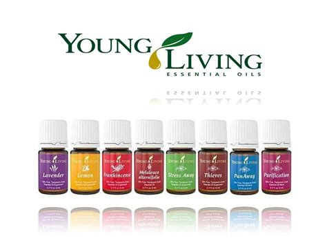 55 Top Pictures Essential Oils And Cats Young Living / Thieves ...