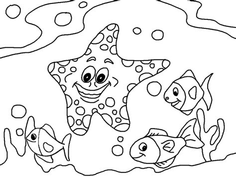 Bintang Laut dan ikan di laut | Toddler coloring book, Animal coloring ...