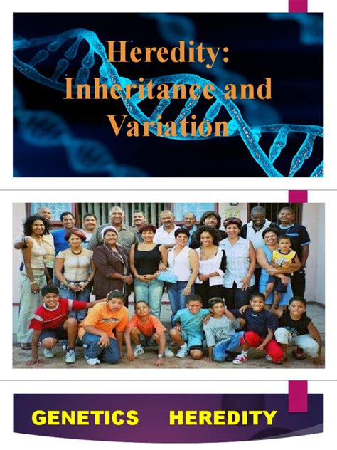 Heredity - Inheritance and Variation | PDF | Dominance (Genetics) | Heredity