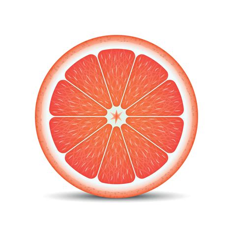 Realistic grapefruit slice 6597432 Vector Art at Vecteezy