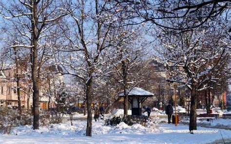 Park zimą, Rynek w Legionowie - zdjęcie 10/30 - Legionowo