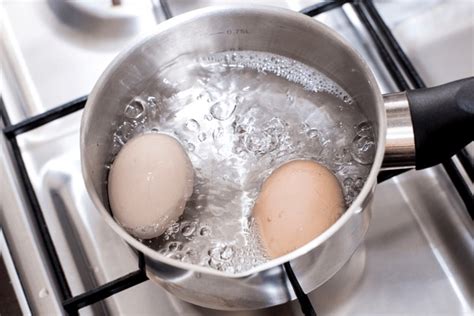 Chook Eggs Benedict: Over 1 Royalty-Free Licensable Stock Photos | Shutterstock