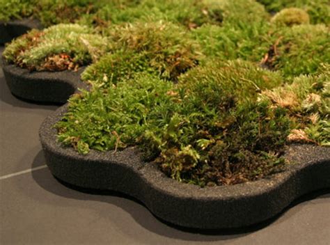 Moss Carpet - Carpet Vidalondon