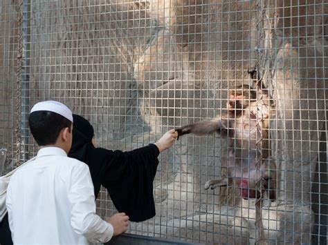 Doha Zoo, Qatar - Sonya and Travis