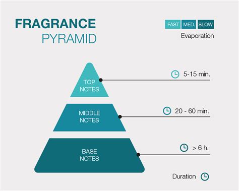 Fragrance 101: Understanding The Fragrance Pyramid, 51% OFF