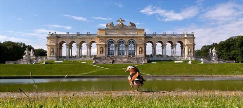 Gloriette Wien See, Vienna, Austria, Louvre, World, Building, Places, Landmarks, Travel