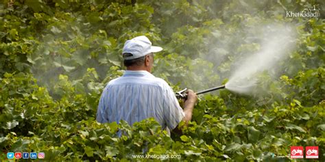 Organic Pesticides are those that are derived from natural sources.