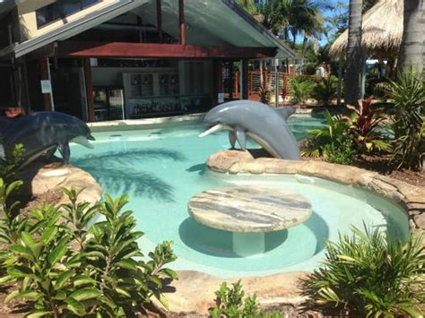 Blue Dolphin Yamba: Resort & Holiday Park Deals & Reviews