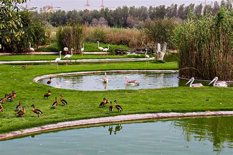 10 of the best and most beautiful parks in Sharjah, UAE 🏞️